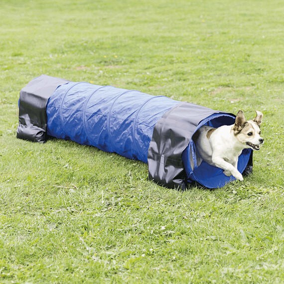 AGILITY Activity tunel - malý pes, štěně, 40cm/2m - modrý