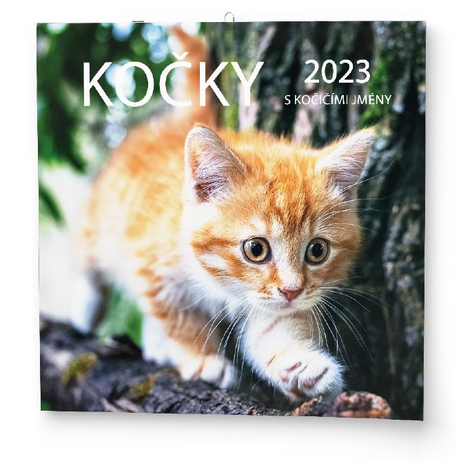 Nástěnný roční kalendář - Kočky