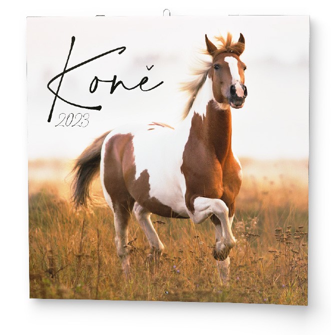 Nástěnný roční kalendář - Koně