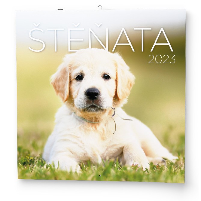 Nástěnný roční kalendář - Štěnata