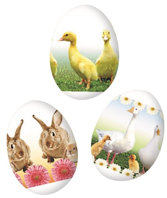 Smršťovací dekorace na vejce, živá zvířátk