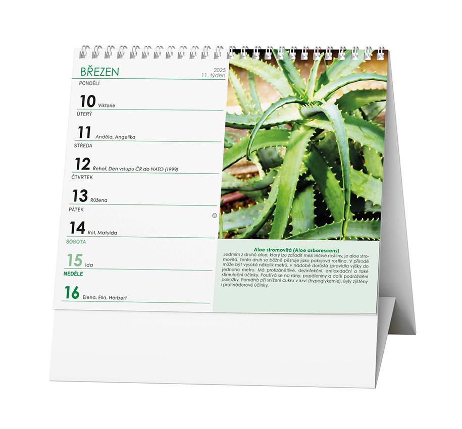 Stolní kalendář - IDEÁL - Léčivé rostliny