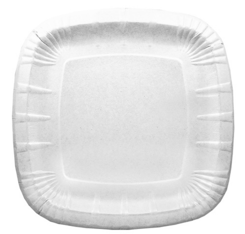 Talíř papírový 24 x 24 cm 100 ks.